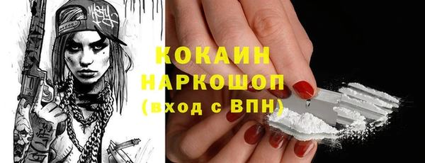 прущий лед Алзамай