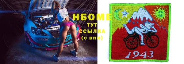 прущий лед Алзамай