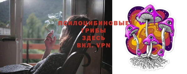 прущий лед Алзамай