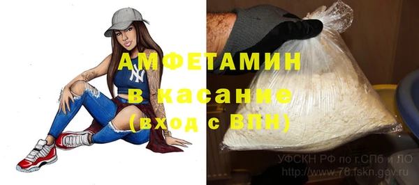гашик Алексин