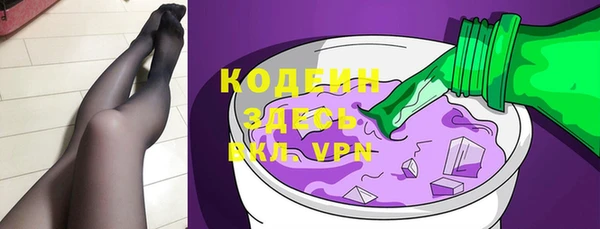 гашик Алексин