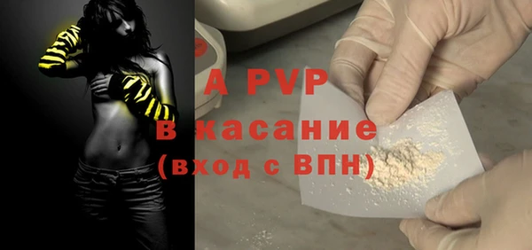 гашик Алексин