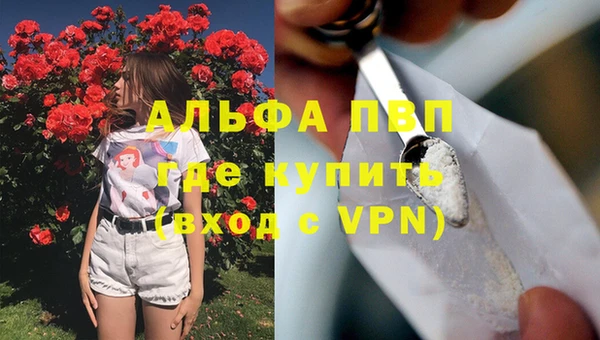 прущий лед Алзамай