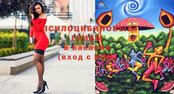 прущий лед Алзамай