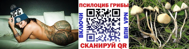 Псилоцибиновые грибы Psilocybe  Плавск 